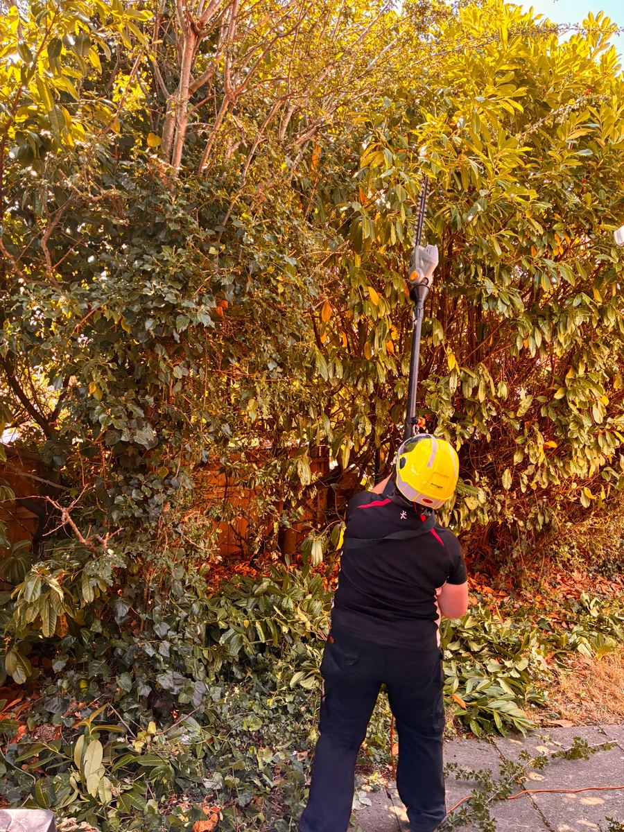 Louise carrying out garden maintenance work